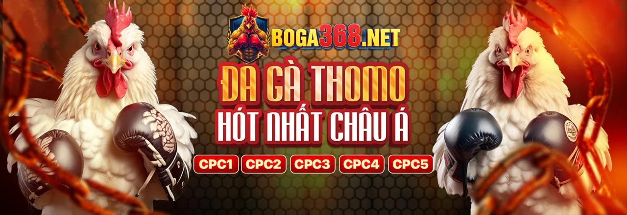 Cá cược trực tiếp Zom51 Win